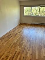 1255 Grant St #305 - Photo 1 of 1