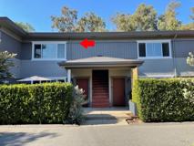 Dolores - Photo 1 of 1