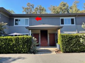 Dolores - Photo 1 of 1