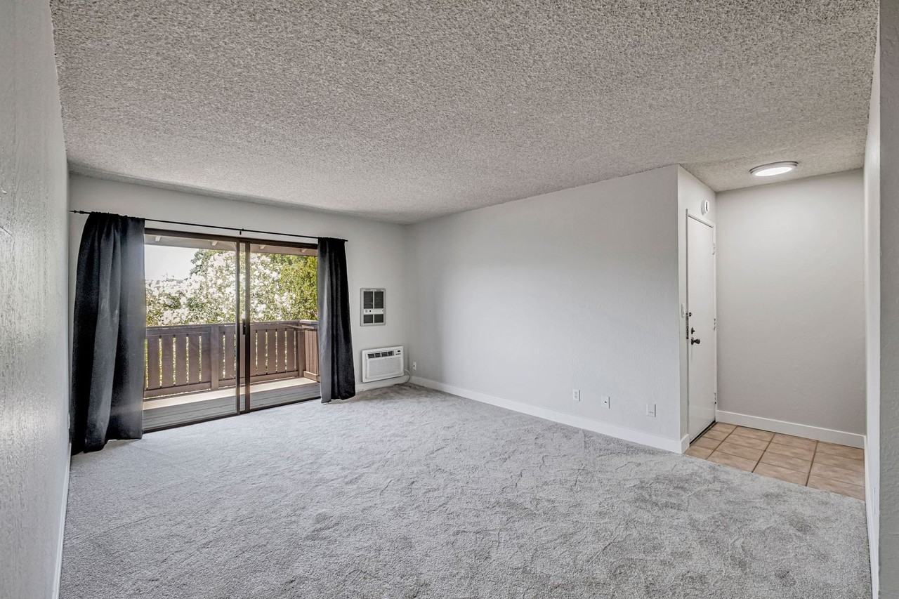 1411 Marchbanks Dr #4 - Photo 3 of 16