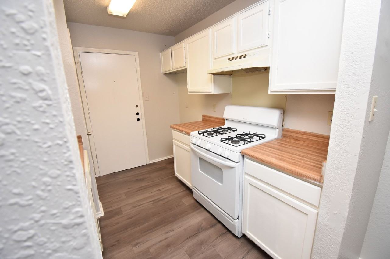 1126 Orchard Park Cir - Photo 7 of 13