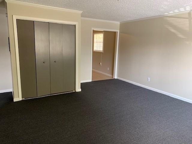 4009 Camellia Dr Apt A - Photo 2 of 7