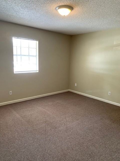 4009 Camellia Dr Apt A - Photo 5 of 7