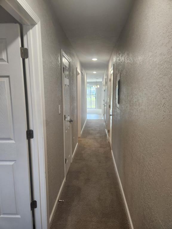 205 Double Eagle Dr - Photo 4 of 32