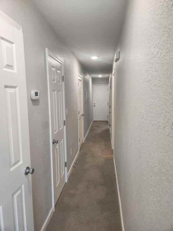 205 Double Eagle Dr - Photo 5 of 32