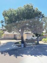 4903 Whitehaven Way - Photo 1 of 1