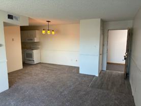 5126 Williams Fork Trl Apt 206 - Photo 1 of 1