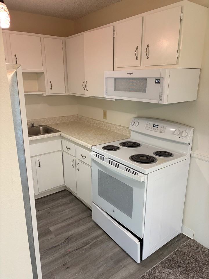 5126 Williams Fork Trl Apt 206 - Photo 7 of 14