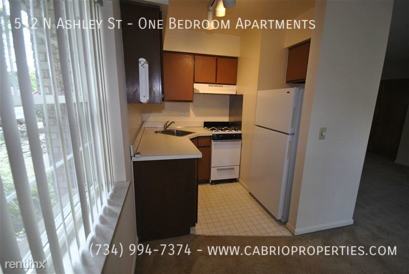 512 N. Ashley St. - Photo 5 of 9