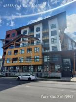 46338 Yale Rd #306 - Photo 1 of 1