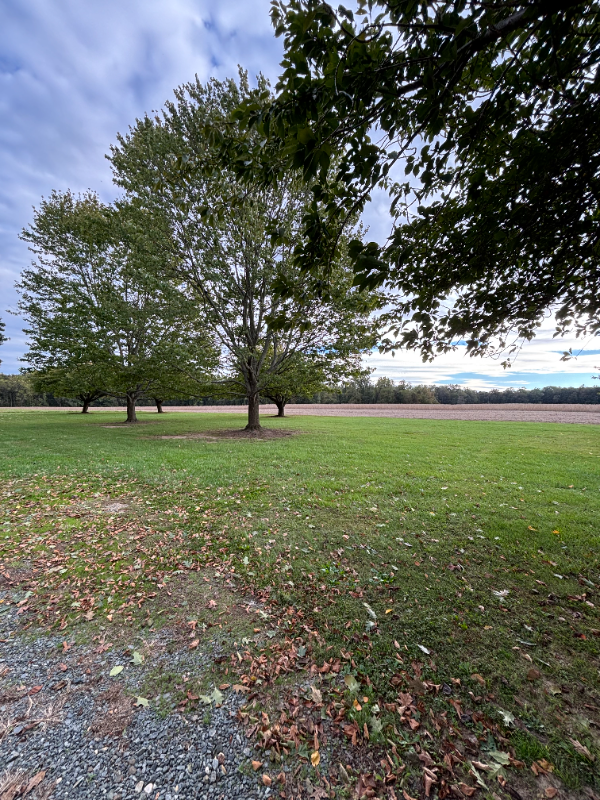 9919 Augustine Herman Hwy - Photo 3 of 14