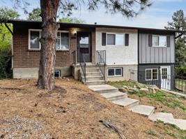 featured image of 806 Paradise Ln