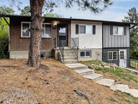 806 Paradise Ln - Photo 1 of 1