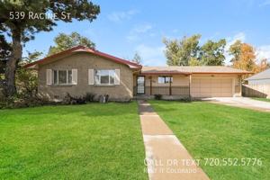 featured image of 539 Racine St