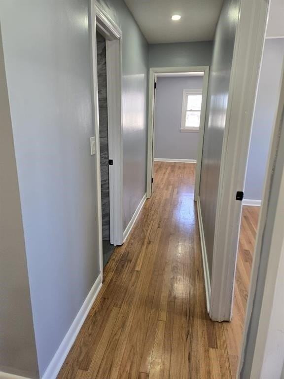 707 Cedar St #2 - Photo 5 of 20