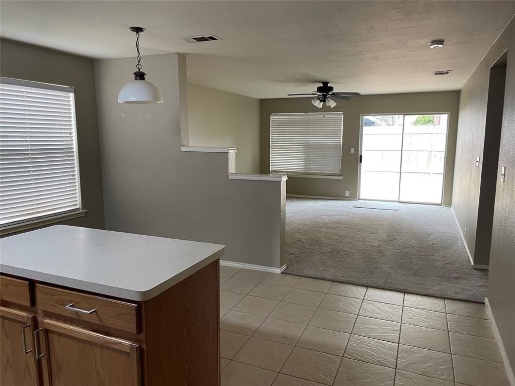 4405 Hawk Lane - Photo 4 of 20