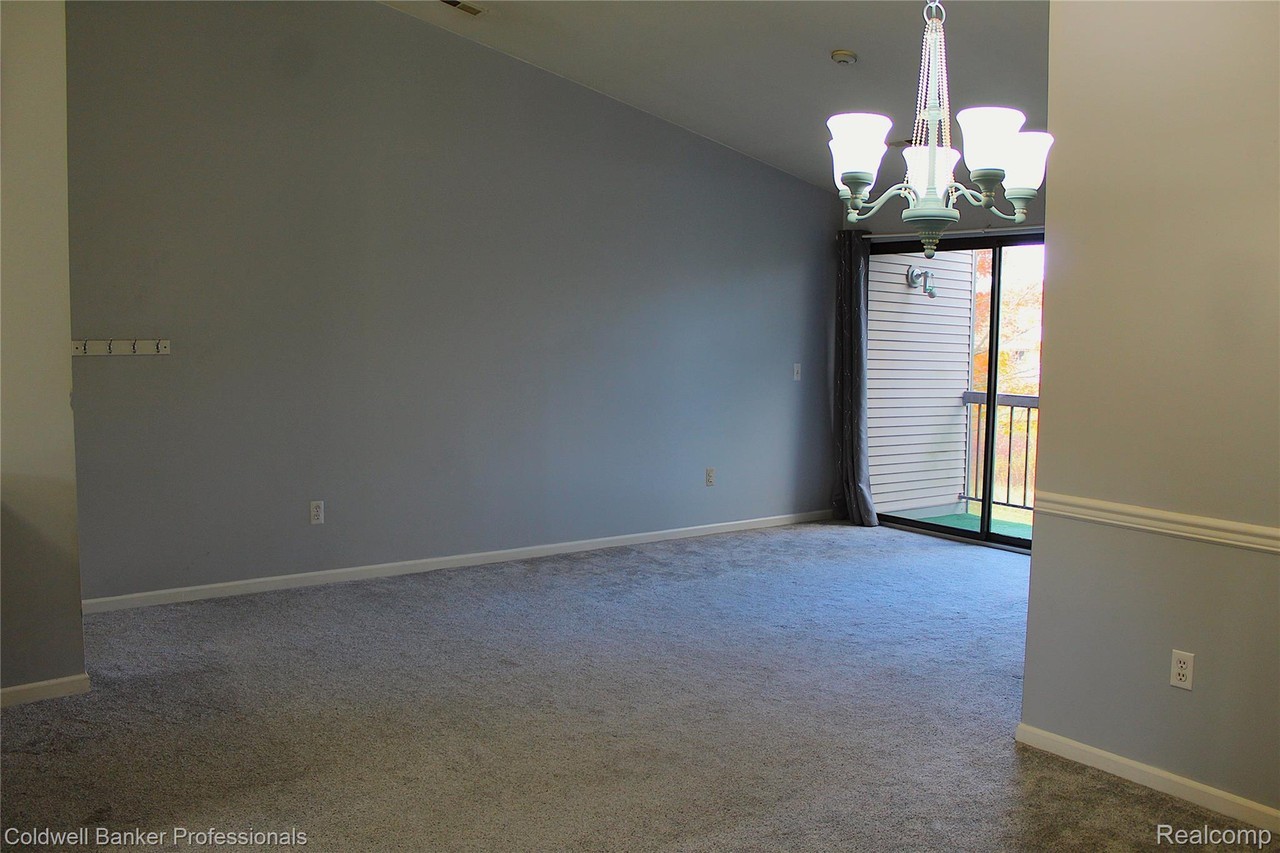 42540 Lilley Pointe Dr - Photo 3 of 14