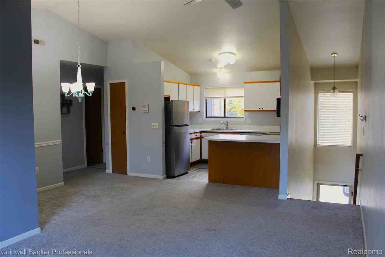 42540 Lilley Pointe Dr - Photo 4 of 14