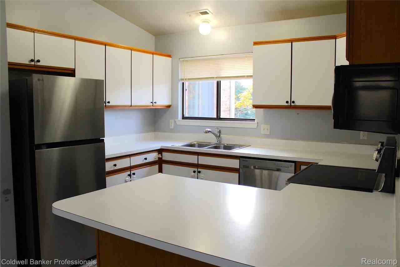 42540 Lilley Pointe Dr - Photo 6 of 14