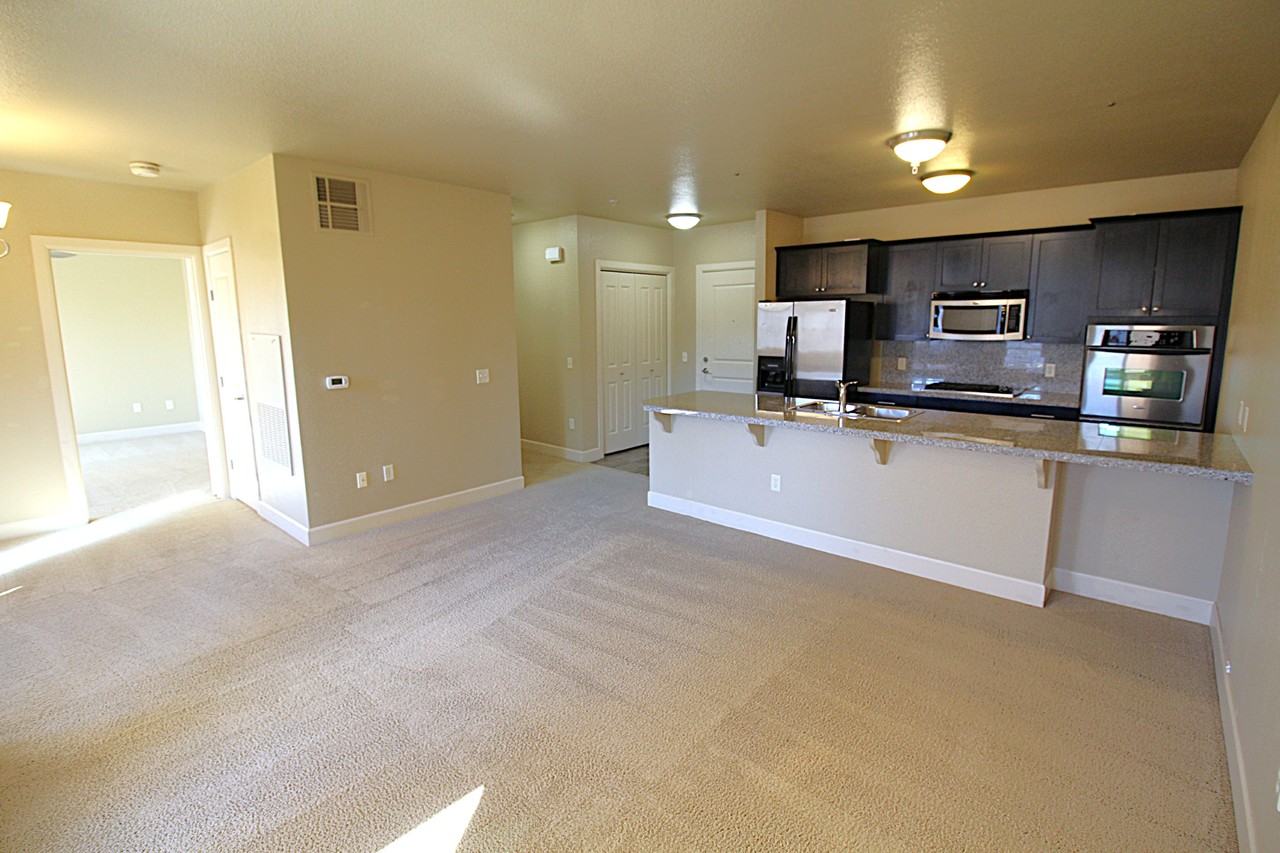 412 South 13th Street #312 - Photo 4 of 17