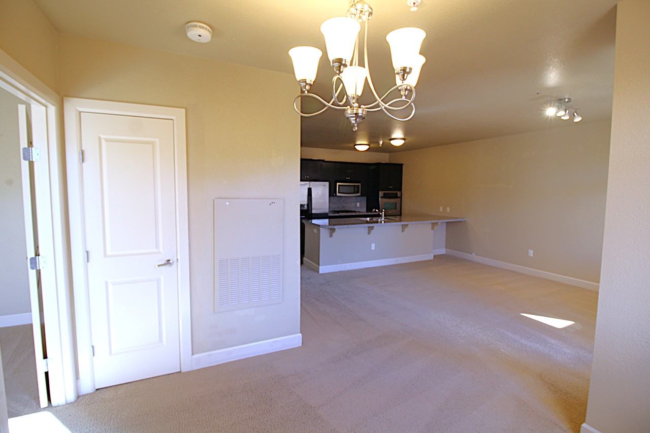 412 South 13th Street #312 - Photo 6 of 17