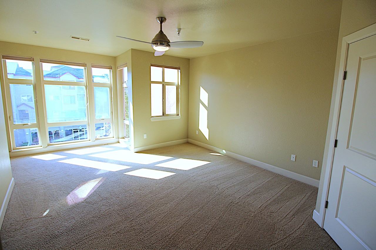 412 South 13th Street #312 - Photo 7 of 17