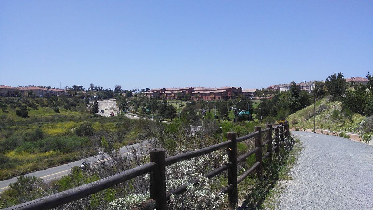 2727 Hazelnut Ct - Photo 3 of 49