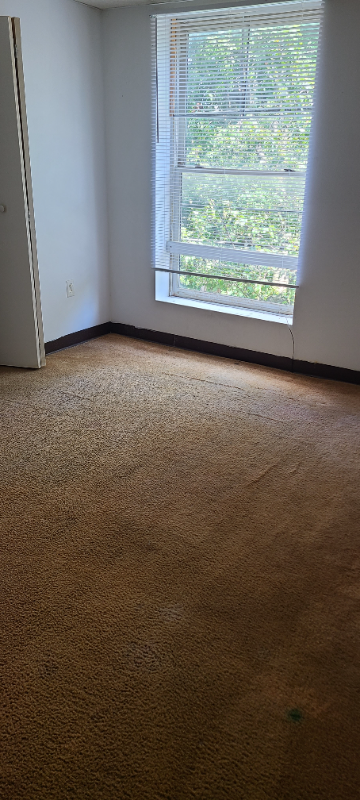 1419 N 2nd St #207 - Photo 4 of 8