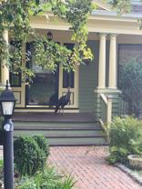 9 Woodland Ave - Photo 1 of 1
