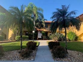 6150 Whiskey Creek Dr Apt 807 #807 - Photo 1 of 1