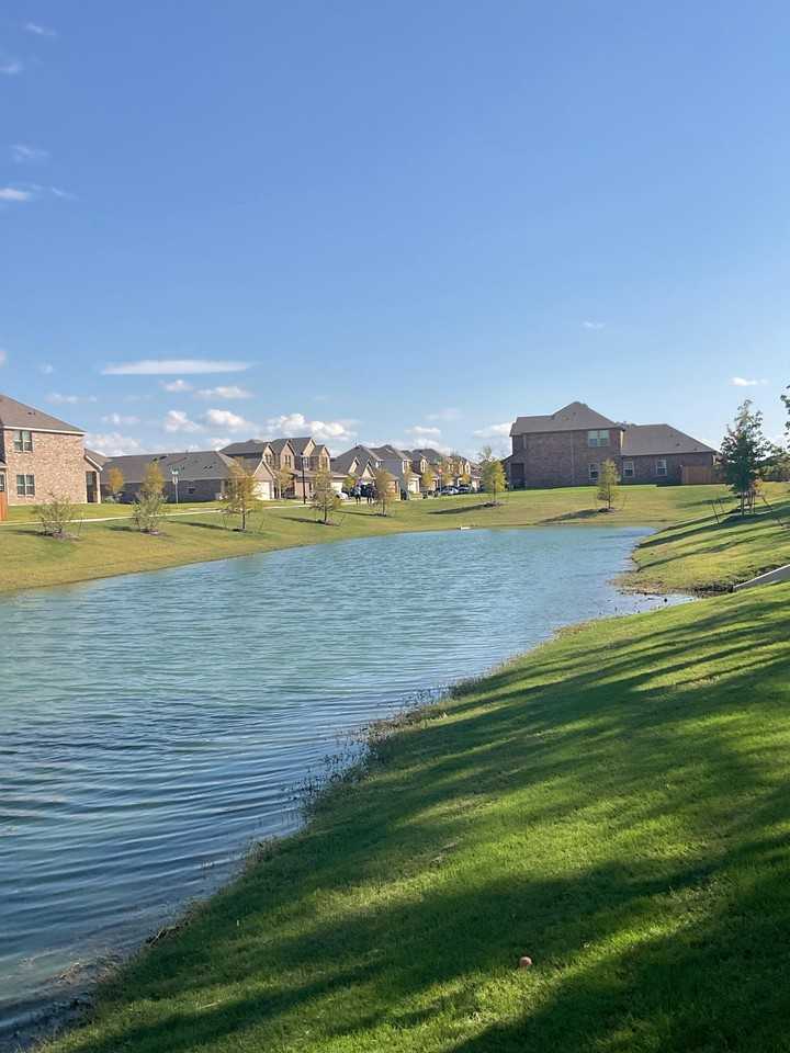 Sunflower Ln - Photo 6 of 13