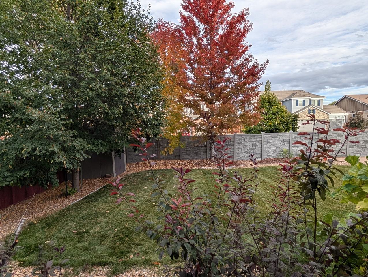 12216 South Great Plain Way - Photo 7 of 62