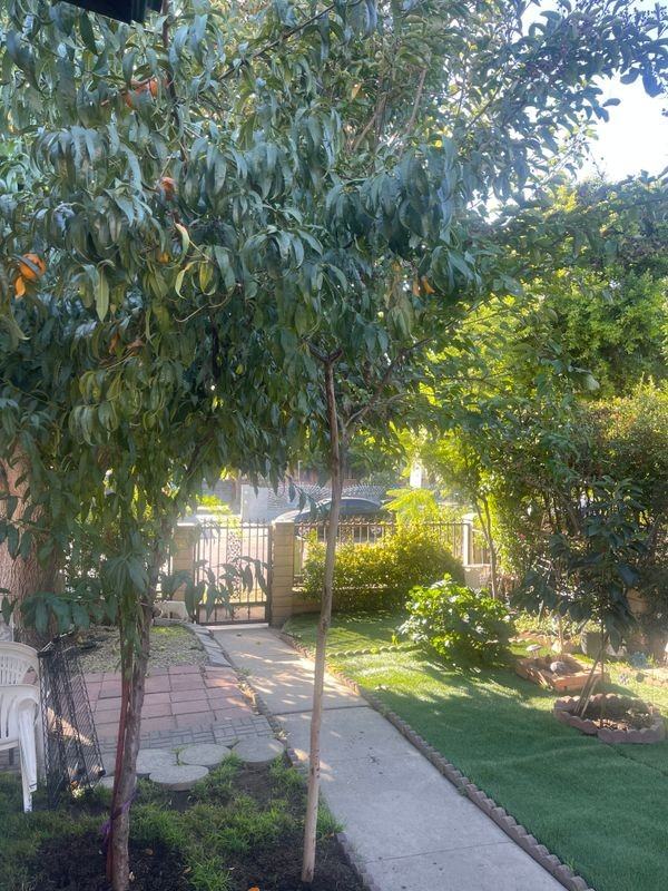 8766 Tilden Avenue ##1 - Photo 3 of 5