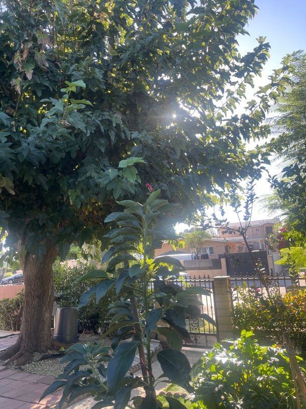 8766 Tilden Avenue ##1 - Photo 4 of 5