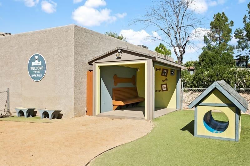 3201 West Ina Road - Photo 5 of 31