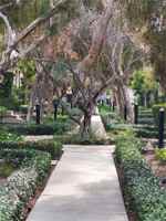 featured image of 64 Shadowplay