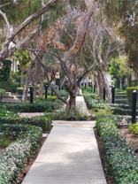 64 Shadowplay - Photo 1 of 1