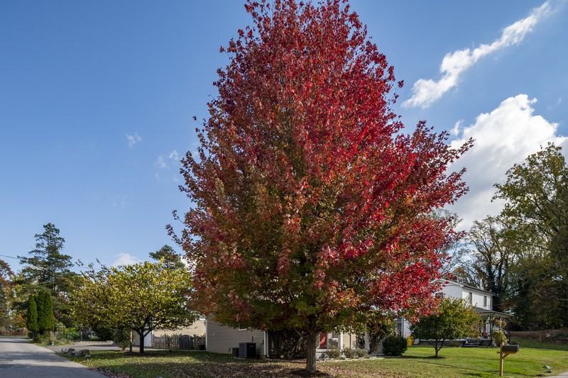 2201 Alvin Ave - Photo 3 of 39