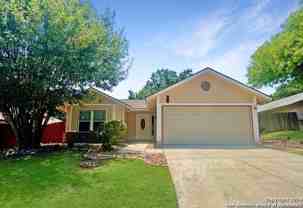 9215 Autumn Branches - Photo 1 of 1