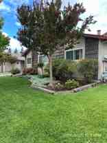 1356 Trower Ave - Photo 1 of 1