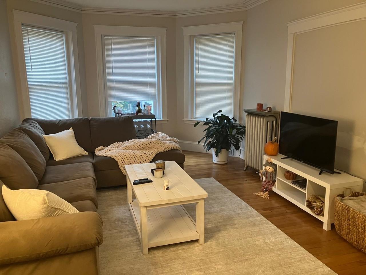 164 Thorndike St #2 - Photo 4 of 14