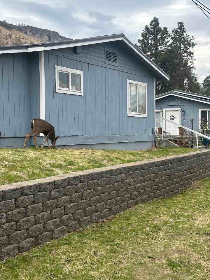 Emerson Cottages - Photo 2 of 10