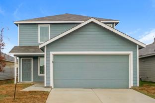 1866 Musk Rose - Photo 1 of 1