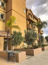 Bella Villa - Laurel - Photo 1 of 1