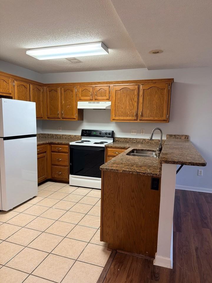 115 Dannon Springs Dr - Photo 4 of 11