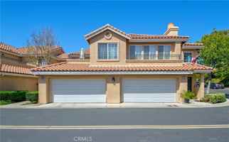 featured image of 29 Morning Glory