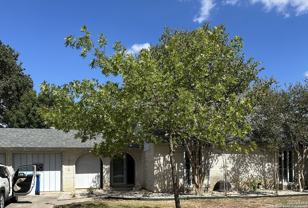 10310 Fox Holw - Photo 1 of 1