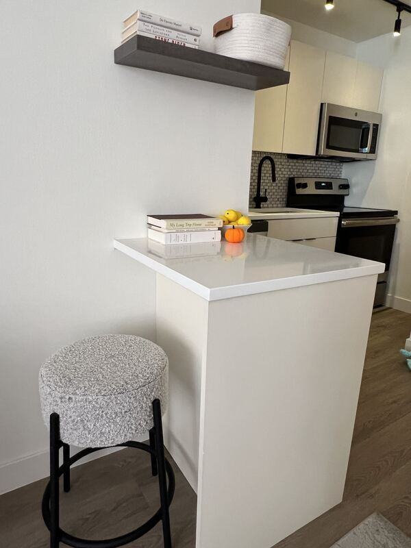 833 North Dearborn Street #612 - Photo 3 of 19