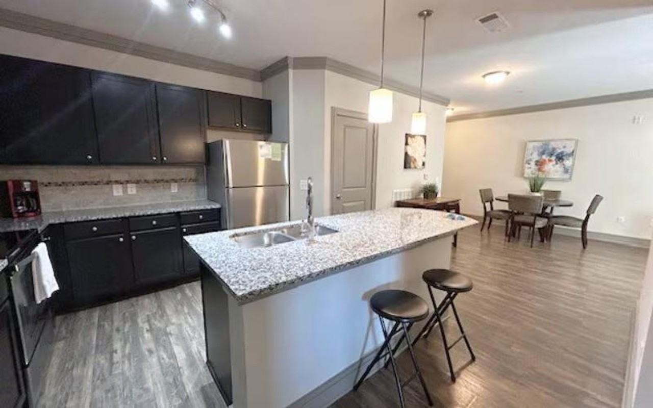 900 Venue Way #1328922P - Photo 4 of 14