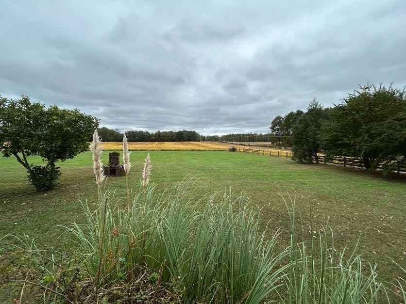 15471 U.S. Route 1 - Photo 4 of 75